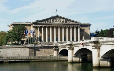 Parliamentarism and Human Rights: The French Example and the Tai Ji Men Case