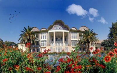 Tai Ji Men: Looking for a Better Environment