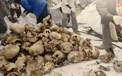 Gross Human Rights Violations: From Rwanda to Taiwan