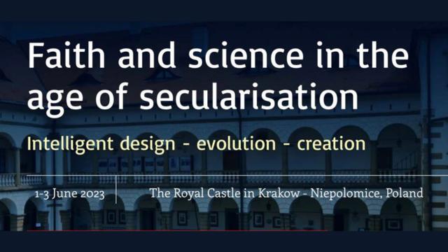 A poster for the Krakow conference.