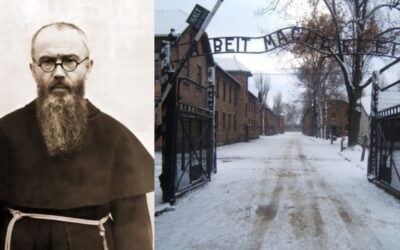 Father Kolbe, Press Freedom, and the Tai Ji Men Case