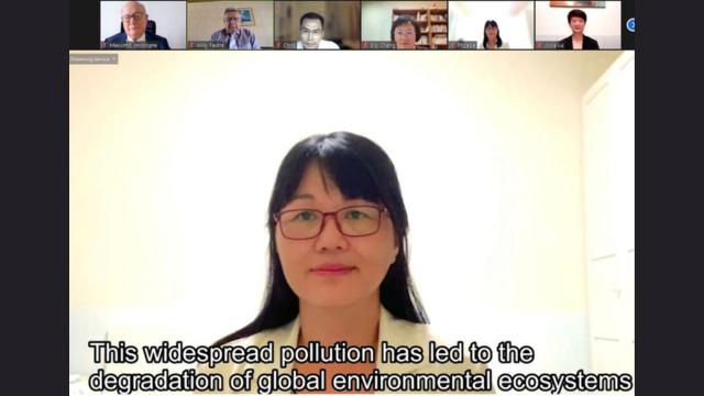 Phoebe Pan’s testimony.