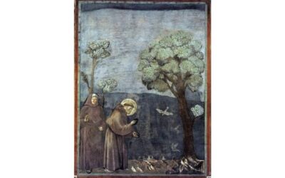 “Integral Ecology” and the Tai Ji Men Case