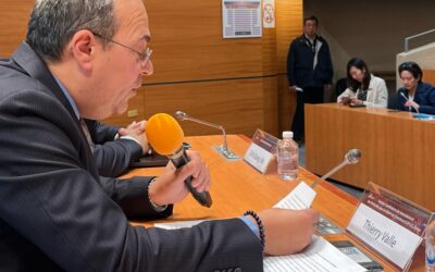 The International Day Against Judicial and Tax Persecution By State Power at the United Nations